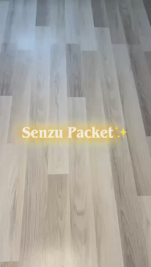 Charger la vidéo : 